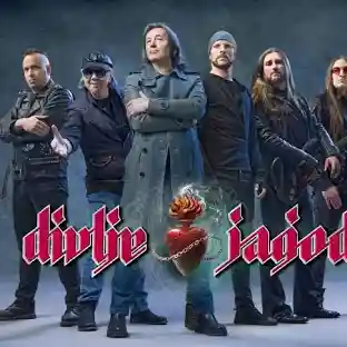 Divlje Jagode